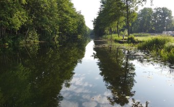 Przepiękne działki nad jeziorem