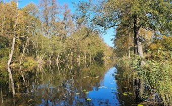 Na sprzedaż działka budowlana nad jeziorem Niesłys