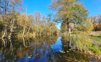 Na sprzedaż działka budowlana nad jeziorem Niesłys