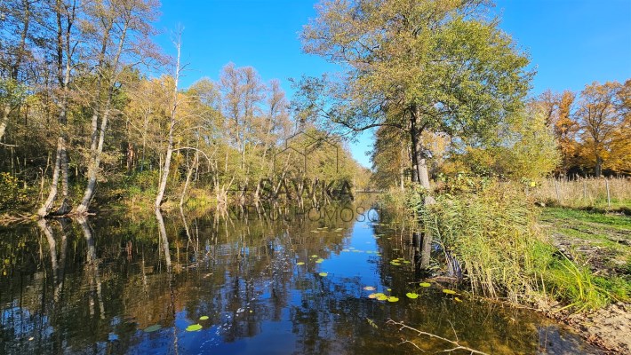Na sprzedaż działka budowlana nad jeziorem Niesłys