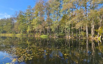 Na sprzedaż działka budowlana nad jeziorem Niesłys