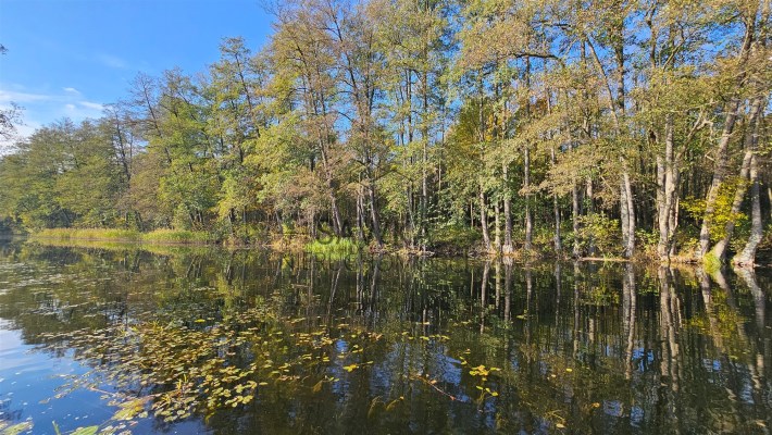 Na sprzedaż działka budowlana nad jeziorem Niesłys
