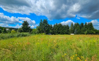 1601 m² ciszy, natury i zieleni