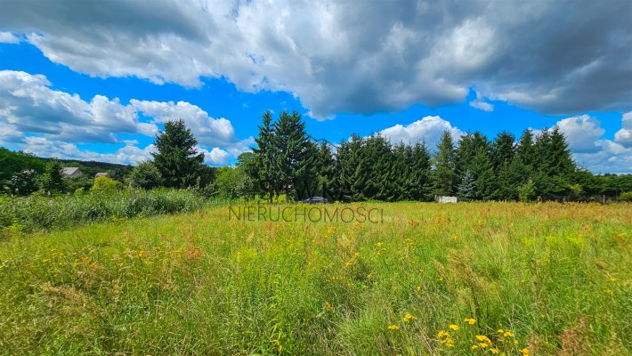 1601 m² ciszy, natury i zieleni