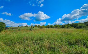 1601 m² ciszy, natury i zieleni