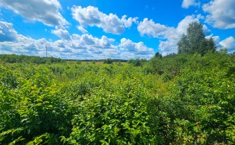 Widoki, winnica, spokój…