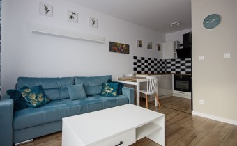 Do wynajęcia mieszkanie 2 pokojowe w Sulechowie