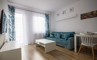 Do wynajęcia mieszkanie 2 pokojowe w Sulechowie