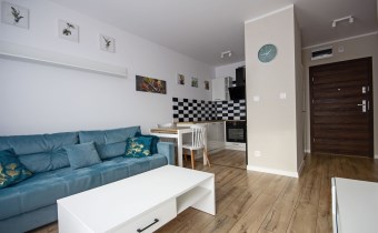 Do wynajęcia mieszkanie 2 pokojowe w Sulechowie