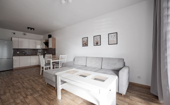 Do wynajęcia mieszkanie dwu pokojowe w Zielonej Gó