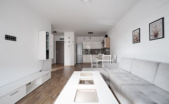 Do wynajęcia mieszkanie w Zielonej Górze