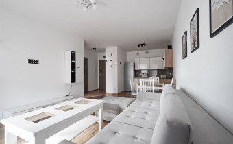 Do wynajęcia mieszkanie przy Jana z Kolna w Zielon