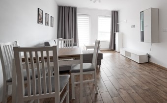 Do wynajęcia mieszkanie w Zielonej Górze