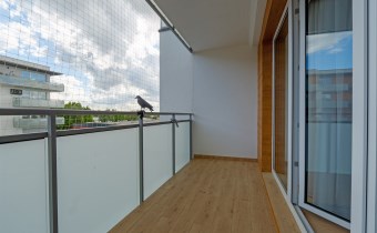 zielona gora mieszkanie wynajem balkon 1 anny jagi