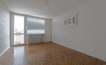 Salon - mieszkanie 3 pokojowe - Budziszyńska - Zie