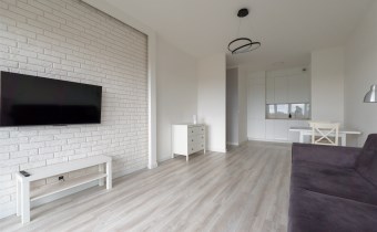 Jasny salon z aneksem kuchennym