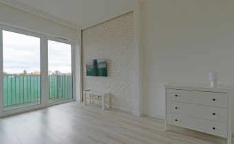 Salon z dużymi przeszkleniami
