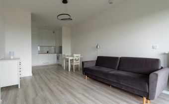 Salon z sofą i miejscem do wypoczynku