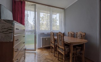 Widok z salonu w kierunku balkonu | funkcjonalny u
