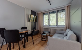 Nowoczesny pokój dzienny z sofą, miejscem do pracy