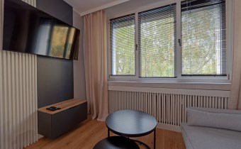 Przytulna część dzienna kawalerki z sofą, telewizo