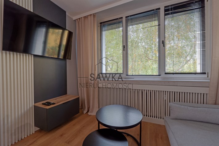 Przytulna część dzienna kawalerki z sofą, telewizo