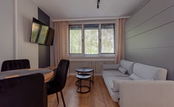 Nowoczesny salon z telewizorem, rozkładaną sofą i 