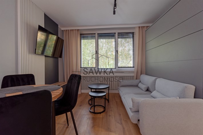 Nowoczesny salon z telewizorem, rozkładaną sofą i 
