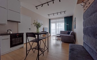 Jasny salon z balkonem w mieszkaniu na wynajem