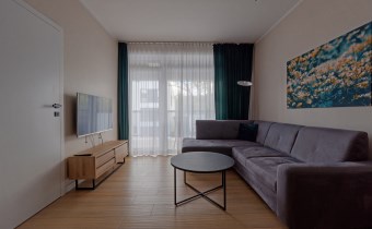 Salon z aneksem kuchennym w mieszkaniu do wynajęci